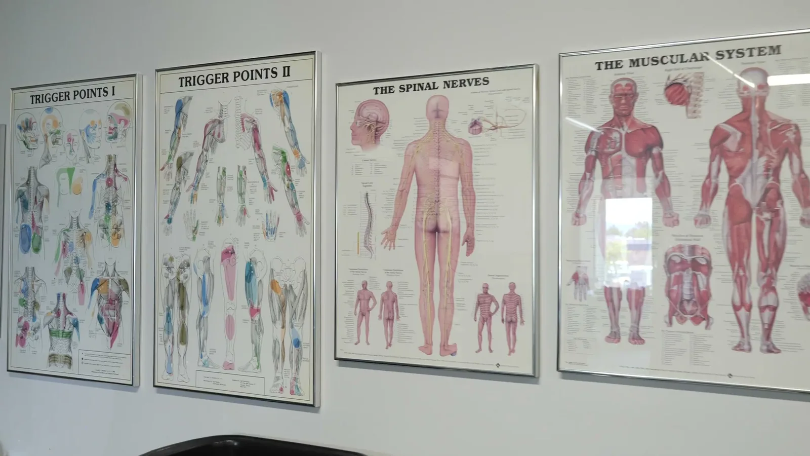 Anatomy and trigger-point charts on a classroom wall